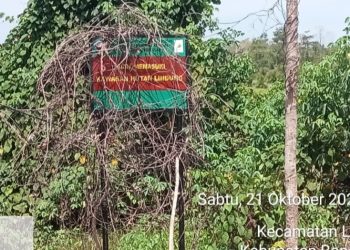 Skandal Tambang Ilegal Oknum Aparat Koordinir Excavator Rusak Kawasan Hutan Lindung 
