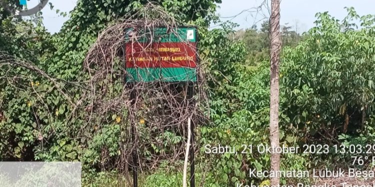 Skandal Tambang Ilegal Oknum Aparat Koordinir Excavator Rusak Kawasan Hutan Lindung 