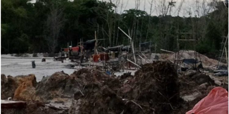 HL Kuruk Batu Beriga Terancam, Penambang Ilegal Terus Merajalela Tanpa Hambatan Dari APH