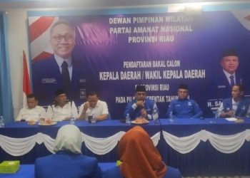 Koalisi Prabowo Subianto dan Gibran Terulang di Pilgubri 2024, Demokrat dan Gerindra Usung HM Nasir, PAN Nyusul?