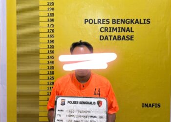 Satu Pelaku Diamankan ,terkait ilegal logging di Siak kecil