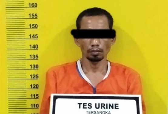 Curi 11 Karung pupuk PT Arara Abadi, Warga Bathin Solapan Diamankan Polsek Tanah Putih Polres Rohil