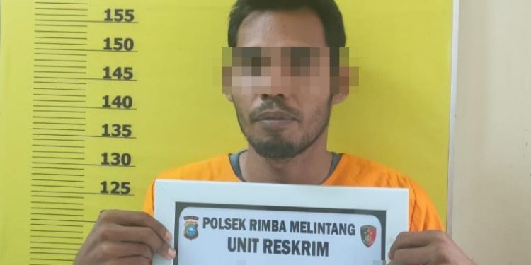 Diduga Terlibat Judi di Situs Alexis Togel Dan Situs Judi Win Seorang Buruh Diciduk Polsek Rimba Melintang Polres Rohil