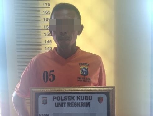 Sekap Pemilik Sarang Walet dan Curi Sarang Walet, 1 Tersangka DPO Berhasil di Tangkap Tim Opsnal Polsek Kubu.