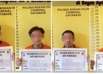 4 Orang Diduga Pengedar Sabu Antar Lintas Kubu- Bagan siapi-api Dijaring Sat Res Narkoba Polres Rohil