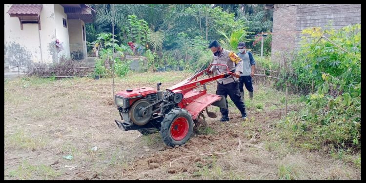 Bhabinkamtibnas Polsek Simpang Kanan Laksanakan Kegiatan Pengolahan Tanah Untuk Persiapan Lahan Pertanian dan Perikanan di Lokasi Ketahanan Pangan di Wilayah Polsek Simpang Kanan.