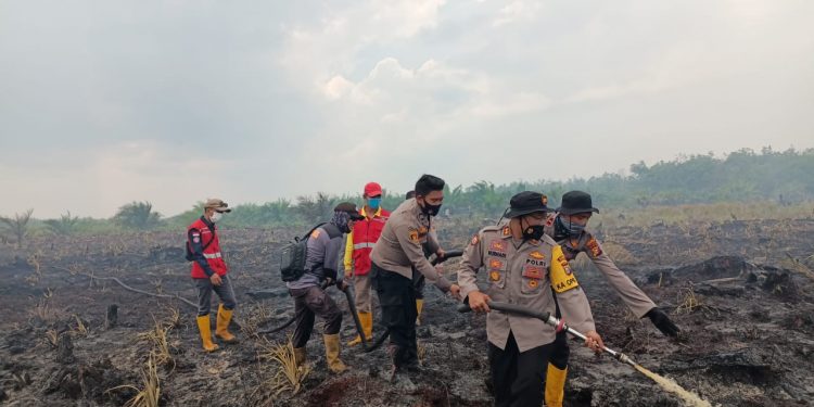 Kapolres Rokan Hilir AKBP Nurhadi Ismanto SH SIK Turun Langsung Melakukan Pemadaman dan Pendinginan Sejumlah Titik Api di Dusun 3 Kepenghuluan Labuhan Papan Kecamatan Tanah Putih Tanjung Melawan Kabupaten Rokan Hilir