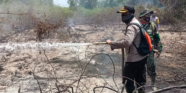 Tak Perlu Antri dan Takut Tertular Virus Corona, Masyarakat Rohil Kini Bisa Buat SIM Lebih Mudah Dengan Aplikasi I-Link