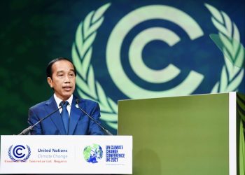 Ini Pandangan Presiden Jokowi dalam Menjadikan Hutan Bagian Aksi Iklim Global