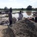 Antisipasi Banjir, Bhabinkamtibmas Polsek Pangkalan Kerinci Monitoring Kenaikan Volume Air Sungai Kualo