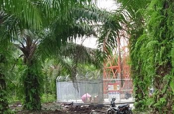 Tower Telkomsel di Rimbo Panjang, Didirikan Tanpa Melibatkan RT, Diduga Dibekingi Camat Tambang