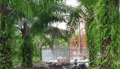 Tower Telkomsel di Rimbo Panjang, Didirikan Tanpa Melibatkan RT, Diduga Dibekingi Camat Tambang