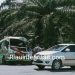 Kecelakaan Beruntun di Tanjakan Maut Jalan Lintas Perawang-Minas Terulang Lagi