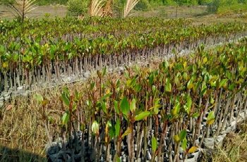 Puluhan Kelompok sudah Dilakukan Verifikasi dan Identifikasi oleh BPASHL Inrok, Sanusi : Ada Apa BRGM?