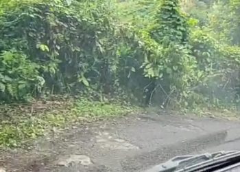 Tokoh Muda Desa Air Taganang Berharap Jalan Lintas Matur Setingkai Diperlebar