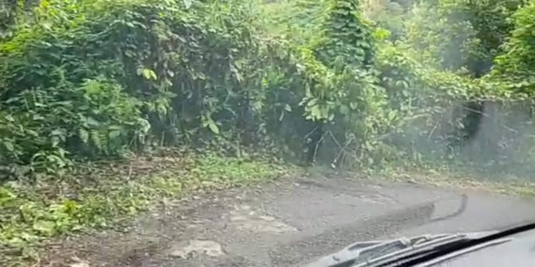 Tokoh Muda Desa Air Taganang Berharap Jalan Lintas Matur Setingkai Diperlebar