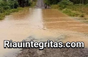 Pemerintah Pusat/Pemda Setempat Seakan Tutup Mata dan Telinga Dengan Kerusakan Jalan