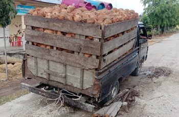 Dilewati Mobil Colt Diesel dengan Muatan 12 Ton, Warga : Pemilik Kebun Sawit dan Tambak Udang