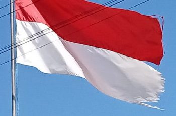 Puskesmas Toto Mulyo Kibarkan Bendera Robek dan Kusam