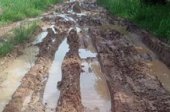 Jalan Penghubung Antar Kecamatan Bak Kubangan Kerbau Jadi Sorotan