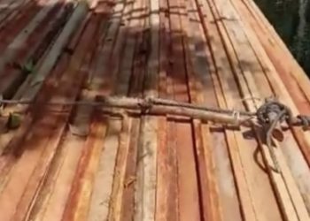 Hutan Cagar Biosfer Bukit Batu Terancam Punah Oleh Perambah Hutan