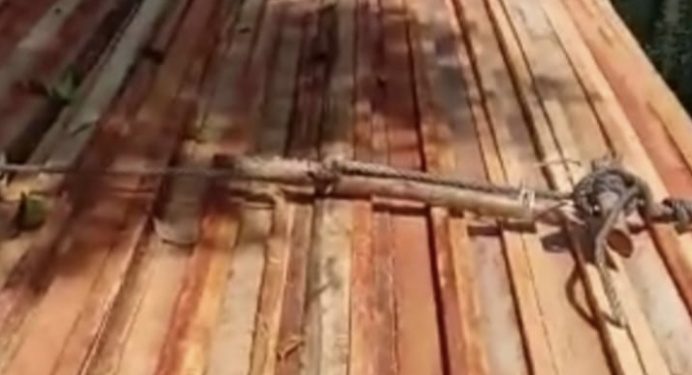 Hutan Cagar Biosfer Bukit Batu Terancam Punah Oleh Perambah Hutan