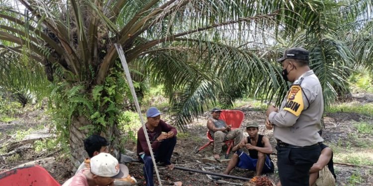 Tingkatkan Kamtibmas, Polsek Panipahan Gelar Ops Premanisme