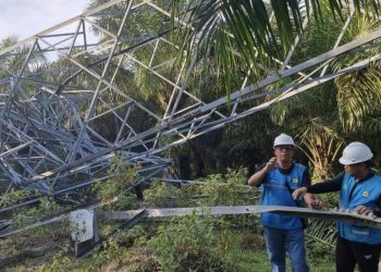 Bupati Rohil Apresiasi Gerak Cepat PLN Pulihkan Gangguan Tower
