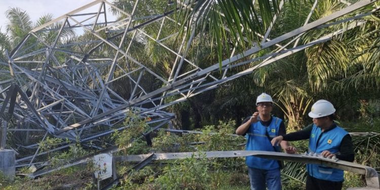 Bupati Rohil Apresiasi Gerak Cepat PLN Pulihkan Gangguan Tower