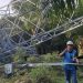 Bupati Rohil Apresiasi Gerak Cepat PLN Pulihkan Gangguan Tower