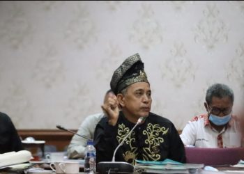 Tokoh Melayu Rohil Angkat Bicara Terkait Ranperda