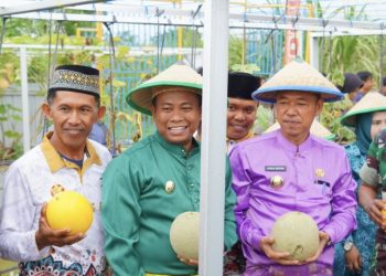 Afrizal Sintong Dampingi Wagubri Panen Buah Edukasi Dinas Pertanian Rohil