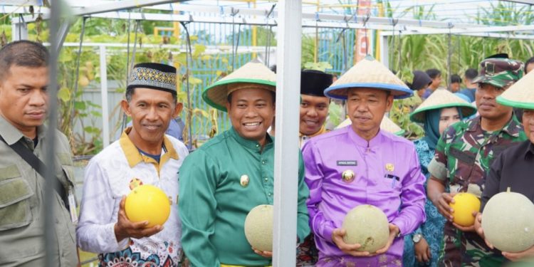 Afrizal Sintong Dampingi Wagubri Panen Buah Edukasi Dinas Pertanian Rohil