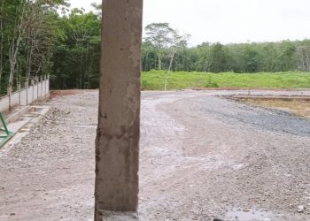 APH di Minta Segera Panggil Oknum Kepala Desa Tiyuh NP
