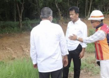 Pohon Jati Emas Segera Ditanam, Rudi Dorong Penghijauan Batam