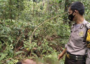Ditemukan Mayat Laki-Laki Di Rimba Melintang Diduga Karena Sakit