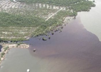PT. SDO Dituding Buang Limbah ke Laut, Pakar Lingkungan Dr. Elviriadi Angkat Bicara