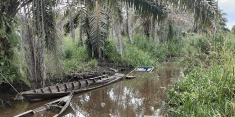 Antisipasi Ilegal Loging, Polsek Rimba Melintang Gelar Patroli