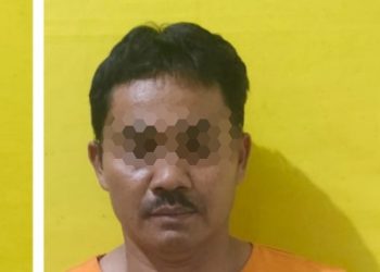 Terlibat Judi Sabung Ayam, T Diciduk Polsek Rimba Melintang