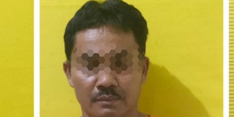 Terlibat Judi Sabung Ayam, T Diciduk Polsek Rimba Melintang