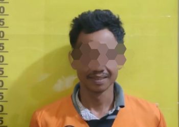 Curi Berondolan Sawit PT. Tunggal Mitra Plantation, BH Diamankan Polsek Pujud 