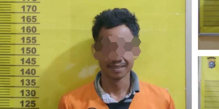 Curi Berondolan Sawit PT. Tunggal Mitra Plantation, BH Diamankan Polsek Pujud 