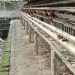 DLH Tulang Bawang Barat Diminta Tindak Lanjuti Usaha Ayam Petelur