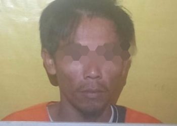 Belum Sempat Jual Sapi Curiannya Ke Duri, MS Ditangkap Tim Reskrim Polres Rohil 