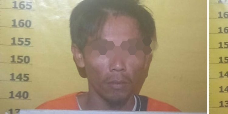 Belum Sempat Jual Sapi Curiannya Ke Duri, MS Ditangkap Tim Reskrim Polres Rohil