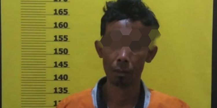 Diduga Edarkan Sabu di Rumahnya, T Diciduk Polsek Batu Hampar
