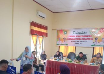 Tingkatkan Pemahaman, Kelurahan Rimba Sekampung Gelar Pelatihan Lembaga Kemasyarakatan