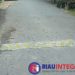 Pita Kejut Jalan SDN Birem Puntong Membahayakan Penguna Jalan