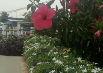 Diduga Pokir Dari Salah Satu Anggota Dewan DPRK Langsa Tidak Terealisasi Sesuai Rencana