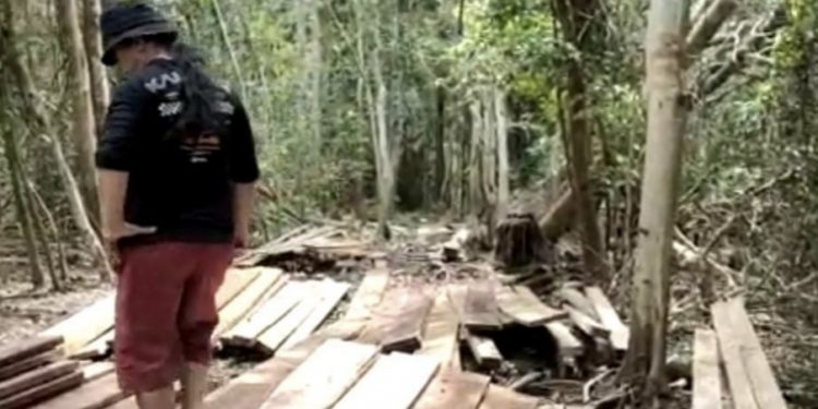 BKSDA Kemana? Perambah Hutan Suaka Margasatwa Kerumutan Marak